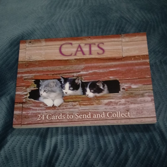 Other - 24 set of Cat notecards